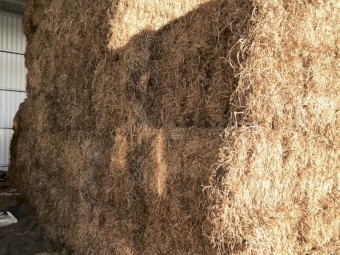 Vetch Hay 610kg 8x4x3 Bales