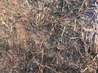 Vetch Hay 610kg 8x4x3 Bales