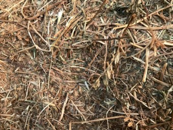 Vetch Hay 610kg 8x4x3 Bales