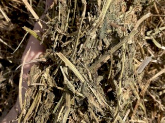  Vetch Hay - 132 bales