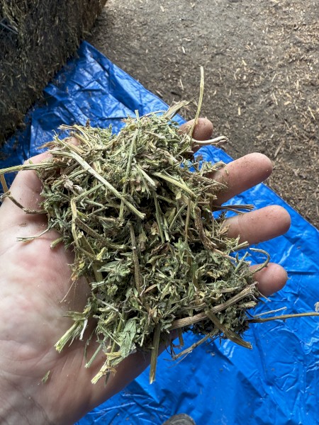 100mt Vetch Hay 8x4x3 Bales