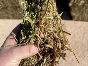 100mt Vetch Hay 8x4x3 Bales