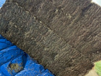 100mt Vetch Hay 8x4x3 Bales