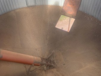 Ackland Field Bin with Auger