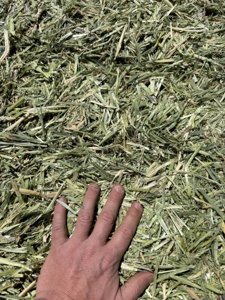 Vetch/Barley Hay 150t