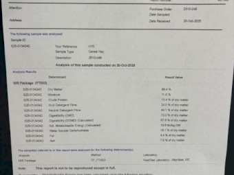 Vetch/Barley Hay 630-670kg 8x4x3 Bales