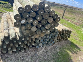 New Pine post, longlife stock lock and barb wire for sale 