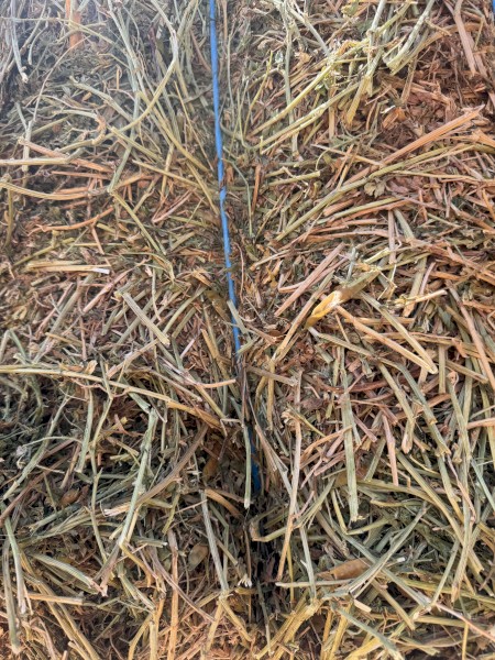 600mt Vetch Hay 650kg 8x4x3 Bales