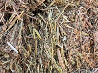 600mt Vetch Hay 650kg 8x4x3 Bales