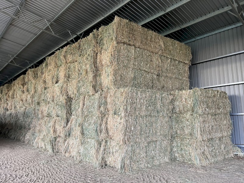 500mt Oaten Hay 8x4x3 Bales