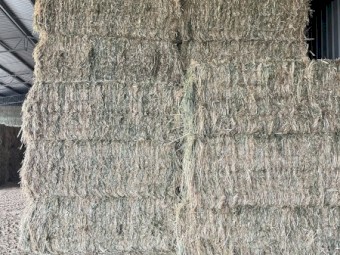 500mt Oaten Hay 8x4x3 Bales