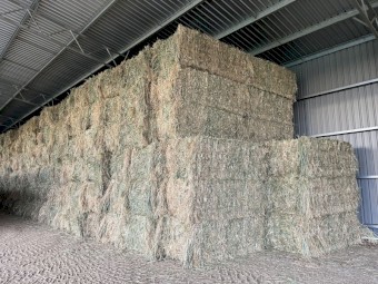 500mt Oaten Hay 8x4x3 Bales