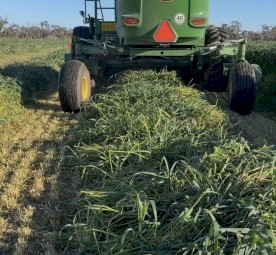 1000mt Oaten Hay 8x4x3 Bales