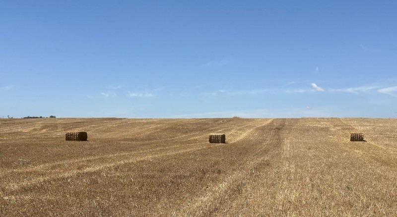 50mt Oaten Straw 500kg 8x4x3 Bales