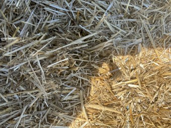 50mt Oaten Straw 500kg 8x4x3 Bales