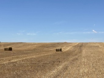 50mt Oaten Straw 500kg 8x4x3 Bales