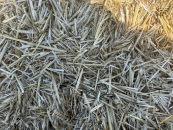 50mt Oaten Straw 500kg 8x4x3 Bales