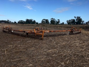 GroMor Prickle Chain