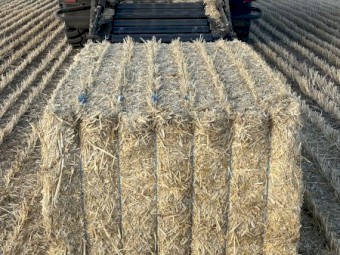 63mt Wheaten Straw 500kg 8x4x3 Bales