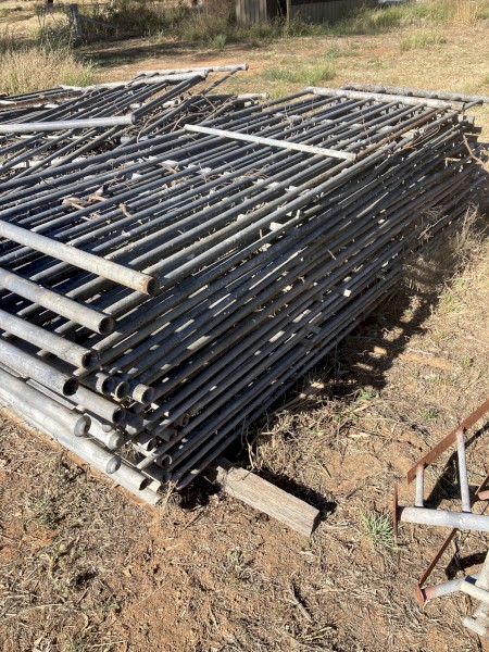 Cyclone Sheep yard panels for Sale