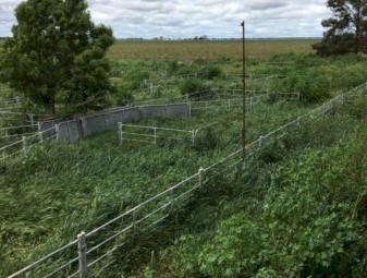 Cyclone Sheep yard panels for Sale