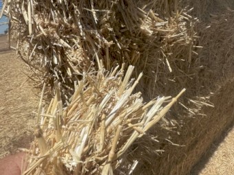 Irrigated Wheaten Straw