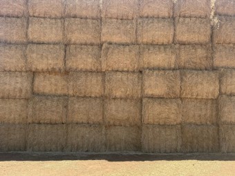 Irrigated Wheaten Straw