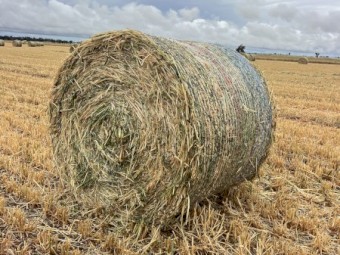 Oaten Hay