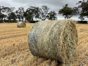 Oaten Hay
