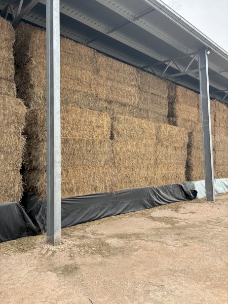 2025 oaten hay