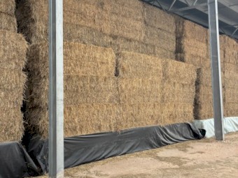 2025 oaten hay