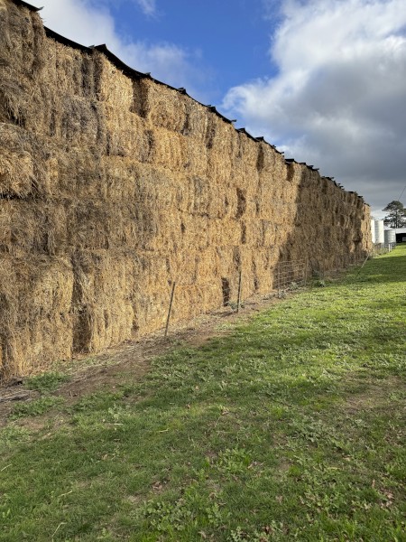350mt Cereal Rye & Clover Hay 720kg 8x4x3 Bales