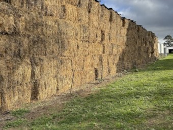 350mt Cereal Rye & Clover Hay 720kg 8x4x3 Bales