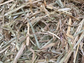 350mt Cereal Rye & Clover Hay 720kg 8x4x3 Bales