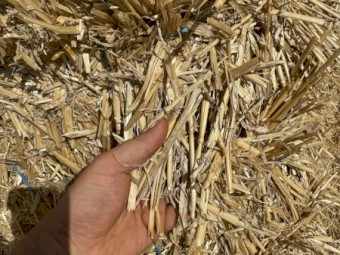 Wheat Straw Small Squares 