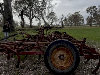 Cultivator - Horwood Bagshaw