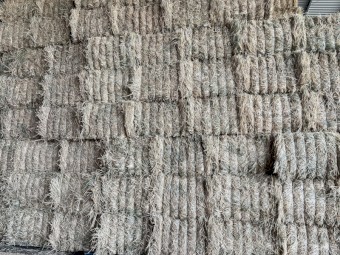 Wheaten Hay 8x4x3 Bales