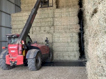 Wheaten Hay 8x4x3 Bales
