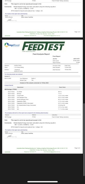 55mt Clover and Pasture Hay 550kg 8x4x3 Bales