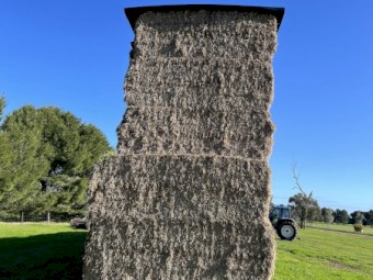 55mt Clover and Pasture Hay 550kg 8x4x3 Bales
