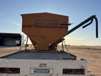 2006 Norrish Grouper