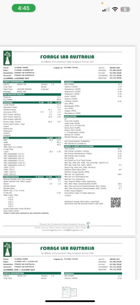 100mt Lucerne Hay 8x4x3 bales 