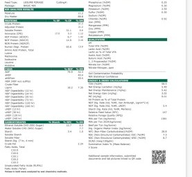 100mt Lucerne Hay 8x4x3 bales 