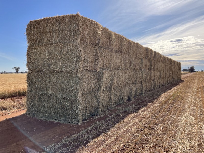 117mt Oaten Hay 8x4x3 Bales