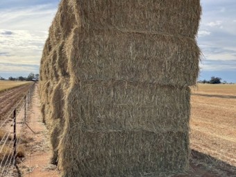 117mt Oaten Hay 8x4x3 Bales