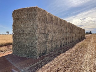 117mt Oaten Hay 8x4x3 Bales