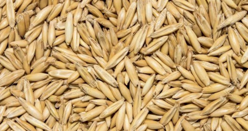 Certified Organic Yallara Oats