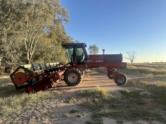 8825 Case Windrower