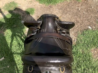 saddle