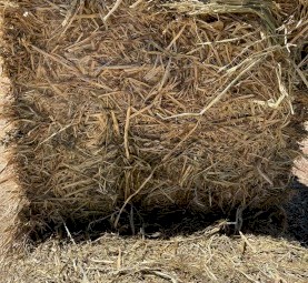 88mt Oaten Hay 8x4x3 Bales